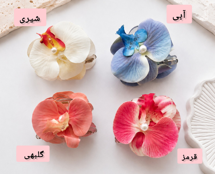 کلیپس ارکیده سایز بزرگ