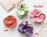 کلیپس ارکیده سایز بزرگ